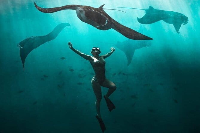 Nusa Penida : Snorkeling Trip Manta Point, Gamat Bay and Wall Bay - Who This Trip Fits Best