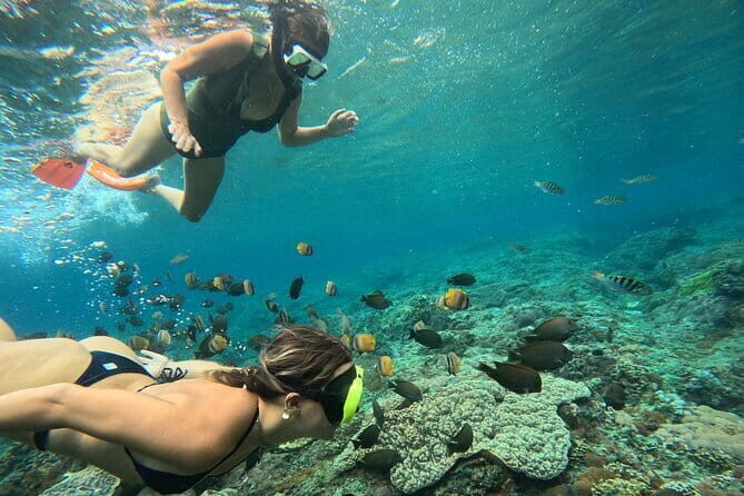 Nusa Penida : Snorkeling Trip Manta Point, Gamat Bay and Wall Bay - Stop 1: Manta Point and What It Means for Your Odds