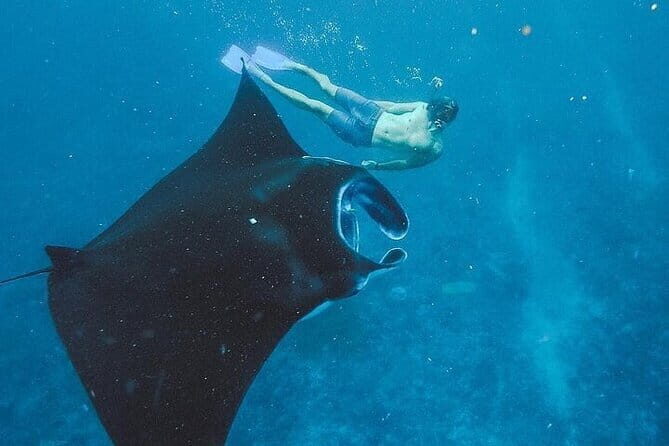 Nusa Penida Tour with Iconic Photography in Kelingking - Diamond Beach: White Sand, Turquoise Water, and a Real Photo Block