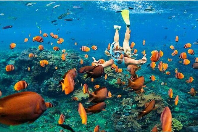 Nusa Penida Trip with Snorkeling all-Inclusive - Key highlights to look for