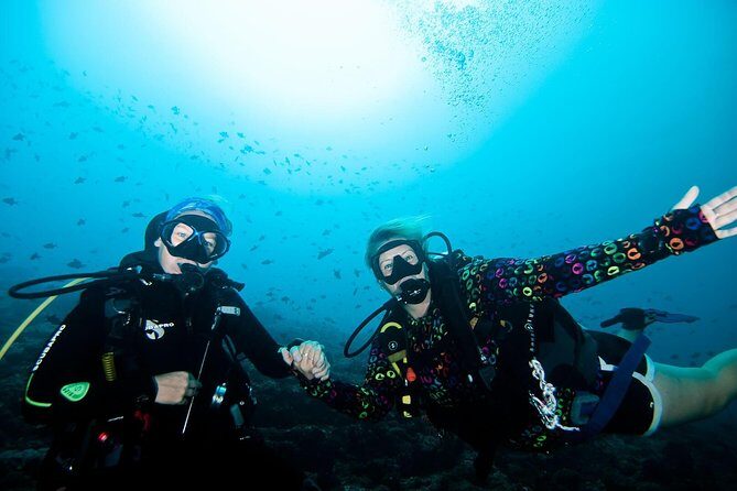 Nusa Penida Try Scuba Diving Program - for Non-Certified Divers - Key things I’d underline before you book