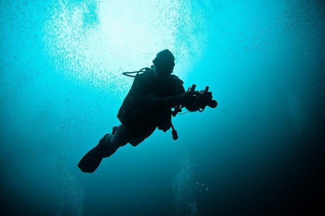 Nusa Penida Two Dives Trip for Certified Divers - Key things to know before you go