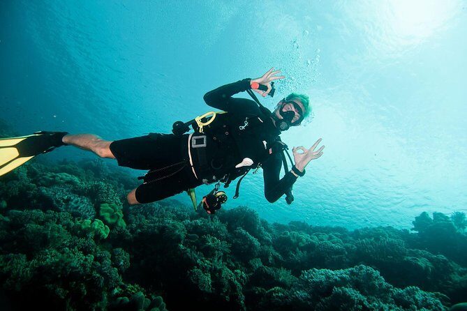 Nusa Penida Two Dives Trip for Certified Divers - Pure Dive Resort meet-up and the pace of the 5-hour trip