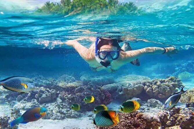 Nusa Penida West trip with snorkeling at 3 spot with Free Meals - Key takeaways before you go