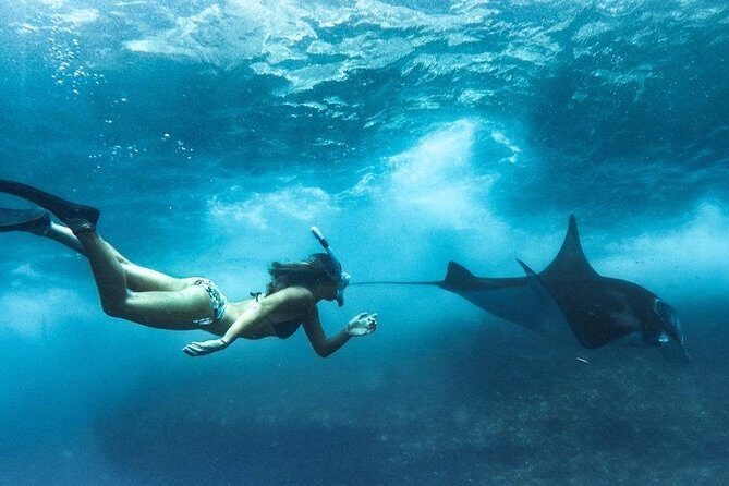 Nusa Penida West trip with snorkeling at 3 spot with Free Meals - Three Snorkeling Spots: Manta Point, Gamat Bay, and Crystal Bay