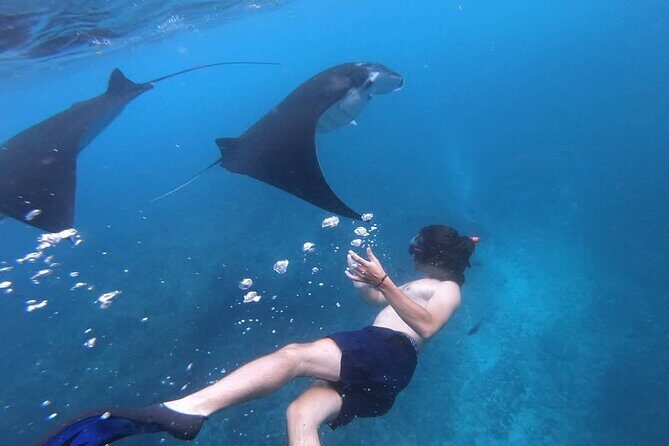 One Day Snorkeling Trip & West Tour Nusa Penida by Penidago - West Penida land stops: Angel’s Billabong, Broken Beach (Pasih Uug), and Kelingking Beach