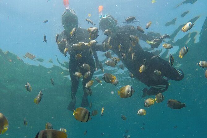 One Day Snorkeling Trip & West Tour Nusa Penida by Penidago - Pickup, shuttles, and timing: early start and traffic are real