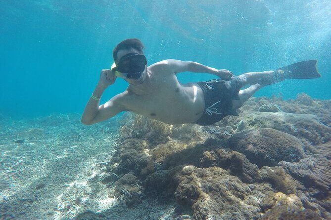 One Day Snorkeling Trip & West Tour Nusa Penida by Penidago - Who should book this West Penida day (and who should pass)