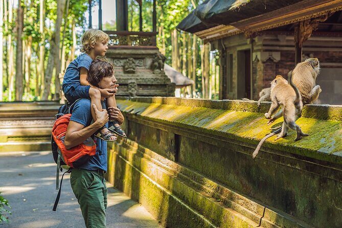 One Day Tour Ubud With Private Guide - Key Points at a Glance