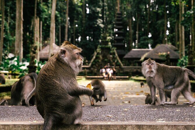 One Day Tour Ubud With Private Guide - How This 8-Hour Ubud Tour Actually Flows