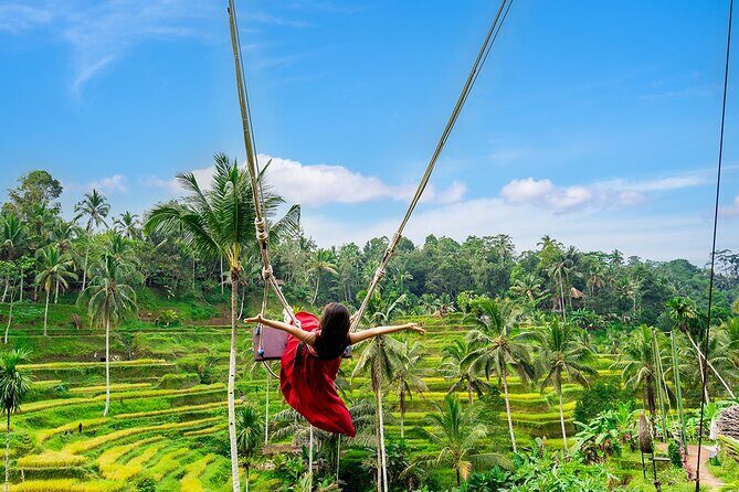 One Day Tour Ubud With Private Guide - Coffee Plantation Break: Tea, Forest Views, and the Coffee Process