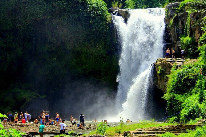 One Day Tour Ubud With Private Guide - Waterfalls Near Ubud: Tegenungan vs. Ulu Petanu