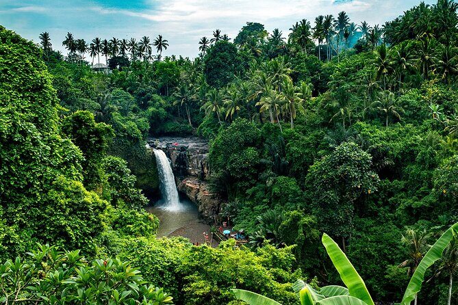 One Day Tour Ubud With Private Guide - What to Expect From Your Guide (And How to Use Them)