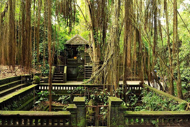 One Day Tour Ubud With Private Guide - Monkey Forest Sanctuary: Sacred Paths and Up-Close Wildlife