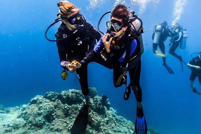 Open Water Course in Nusa Lembongan - Get Certified on remote island (next Bali) - Stage three: open-water sessions at four Lembongan-area sites
