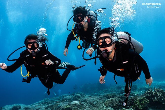 Open Water Course in Pemuteran - Get Certified in Bali - SSI Open Water in Pemuteran: What you’re actually signing up for