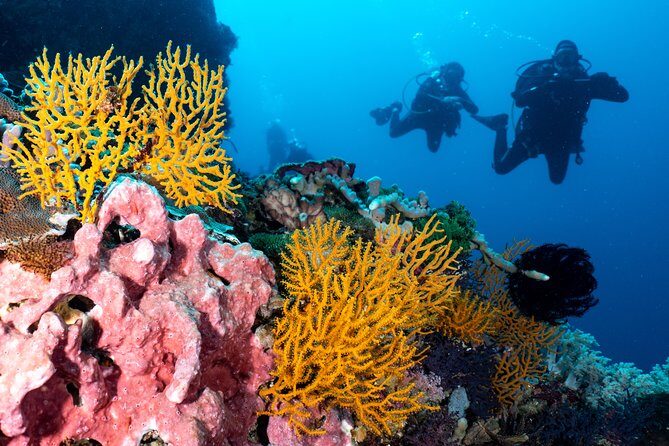 Open Water Course in Pemuteran - Get Certified in Bali - Gear, equipment, and the safety rhythm you should expect
