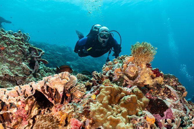 Open Water Course in Pemuteran - Get Certified in Bali - Entering the training center in Pemuteran: Facilities and small-group comfort