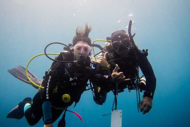PADI Open water Course in Lembongan - Get certified & dive anywhere in the world - PADI Open Water in Nusa Lembongan: what you’re really buying for $425