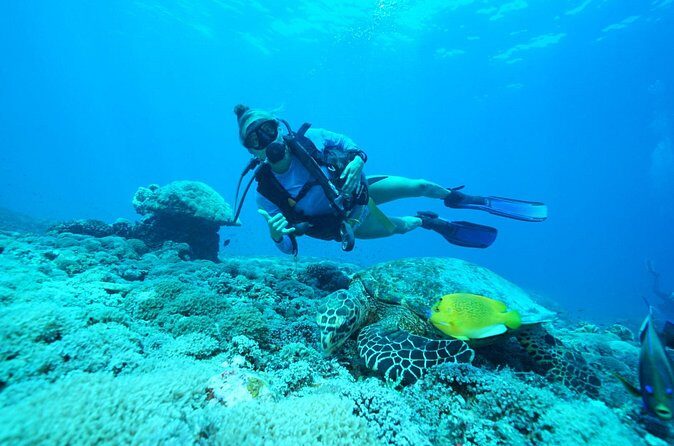 PADI Open water Course in Lembongan - Get certified & dive anywhere in the world - Gear and safety: why 100% focus beats “winging it”