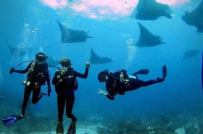 PADI Open water Course in Lembongan - Get certified & dive anywhere in the world - The certification payoff: what you can do after 3 days