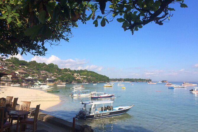 PADI Open water Course in Lembongan - Get certified & dive anywhere in the world - Theory you can do on your schedule: PADI e-learning setup