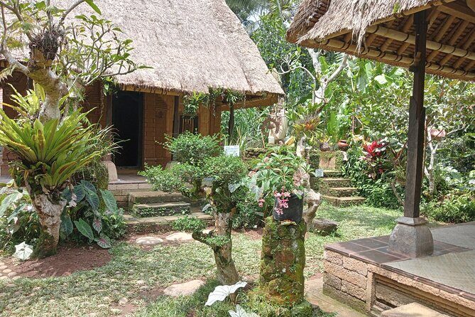 Penglipuran Village Waterfall Swing Private Guided Tour - Kanto Lampo Waterfall: a photography-first stop without the chaos