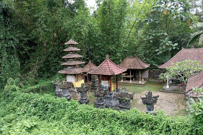 Penglipuran Village Waterfall Swing Private Guided Tour - Warung Babi Guling Pande Egi lunch: your energy reset