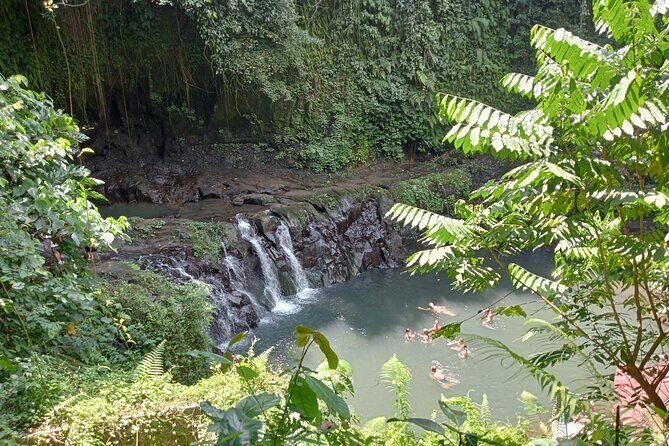 Penglipuran Village Waterfall Swing Private Guided Tour - Kemenuh Monkey River: watching long-tailed monkeys in a forest setting