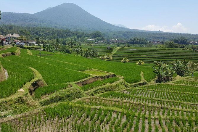 Private 4-Day Tours - Best Bali Tours Package - Best of Bali Highlights - What to Pack and How to Pace Yourself (Without Overthinking It)