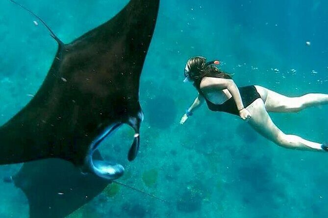 Private All Inclusive Nusa Penida Snorkeling and Tour - Key highlights you should know before you go