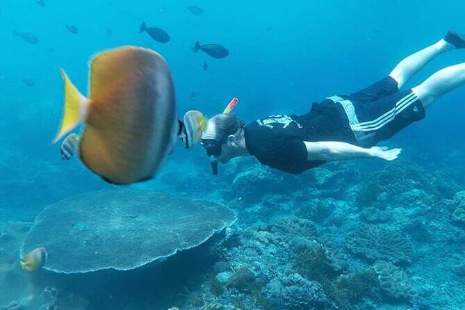 Private All Inclusive Nusa Penida Snorkeling and Tour - Sanur Harbour: where the day either feels easy or annoying