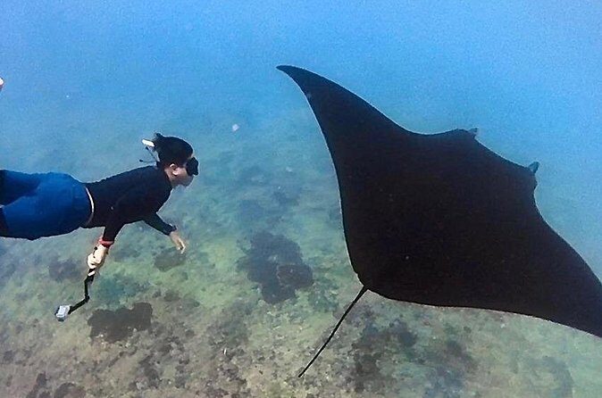 Private All Inclusive Nusa Penida Snorkeling and Tour - Kelingking Beach: iconic cliffs, steep steps, big photos