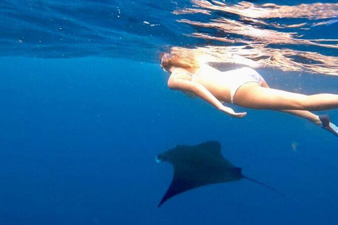 Private All Inclusive Nusa Penida Snorkeling and Tour - Snorkeling at Manta Point: the main event