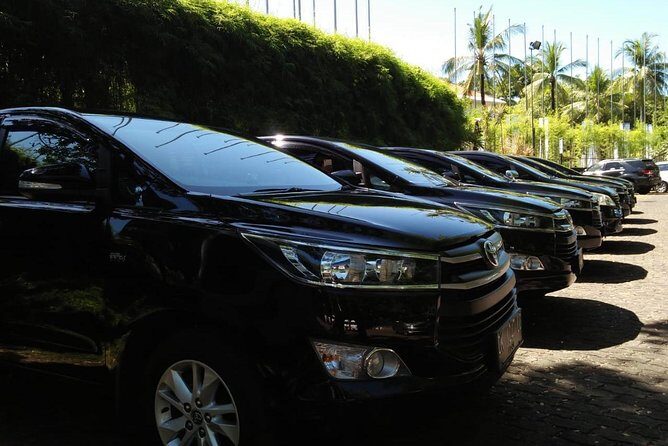 Private Bali Airport Arrival Transfer: Airport to Hotel (Arrival) - Why a private DPS-to-Ubud ride beats taxi chaos