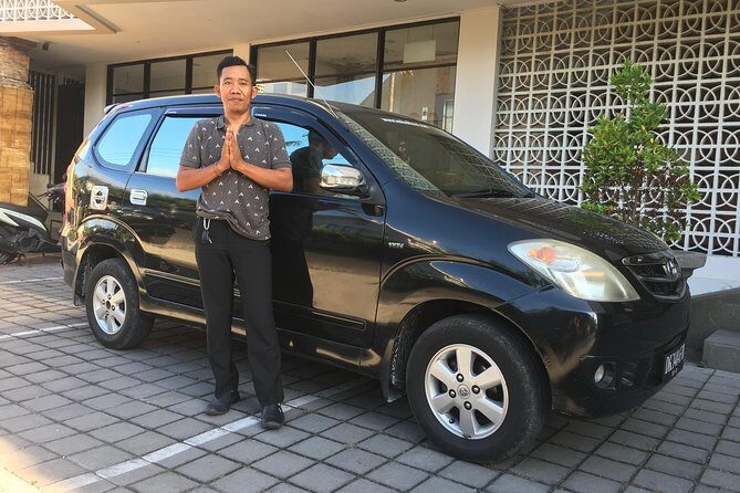 Private Bali Car Charter with Driver up to 6 People - East/Central option: Barong dance, waterfalls, Elephant Cave, and temple rituals
