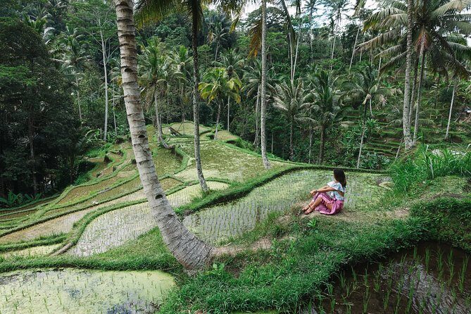 Private Bali Car Charter with Driver up to 6 People - Included parking and fuel: small details that save you stress