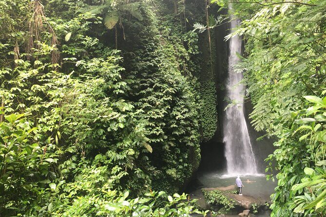 Private Bali Custom Tour – Full Day with English-Speaking Driver - A practical route through Bali sights: what each stop is like