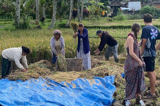 Private Bali Custom Tour – Full Day with English-Speaking Driver - How the tour delivers value for different types of travelers