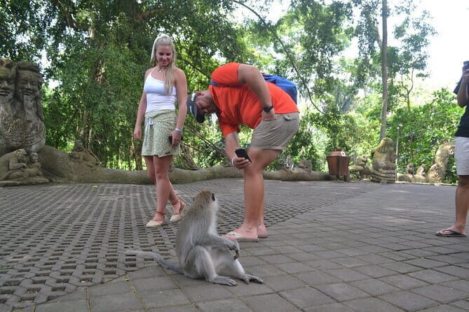Private Bali Customized Tours - Tegalalang vs Jatiluwih: choosing your rice terrace experience