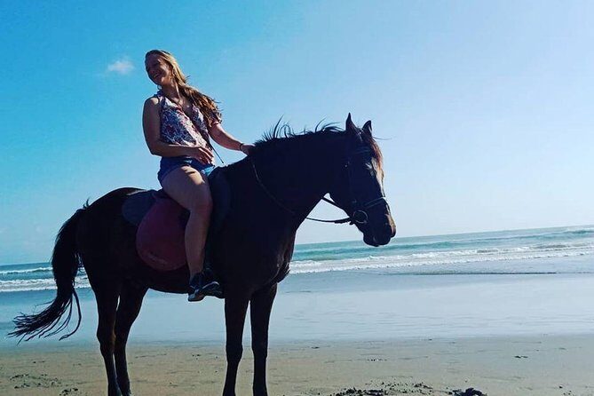 Private Bali Horse riding at saba beach - Price and Value: Is $43.79 for 1 Hour Reasonable?