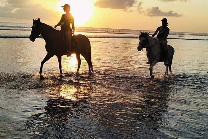 Private Bali Horse riding at saba beach - Who Should Book This (and Who Should Pause First)