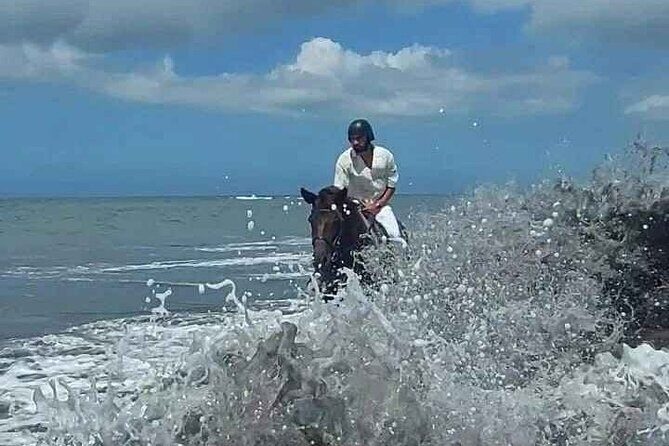 Private Bali Horse riding at saba beach - Should You Book This Bali Horse Ride?