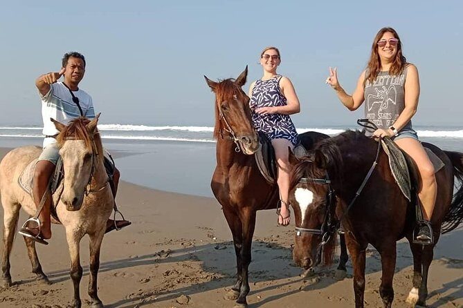 Private Bali Horse Riding In Seminyak Beach - First-timer friendly? Yes, with one big caveat