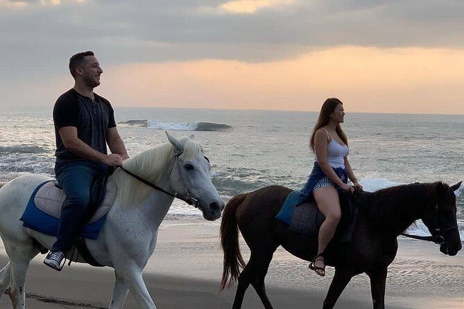 Private Bali Horse Riding In Seminyak Beach - Horses and animal care: what the best feedback emphasizes