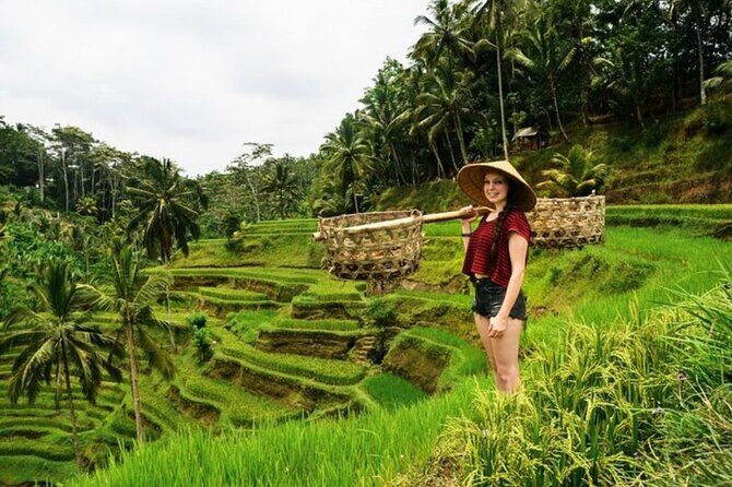 Private Bali Tour - All Inclusive - A Private Bali Day Around Ubud Favorites and Mount Batur Views