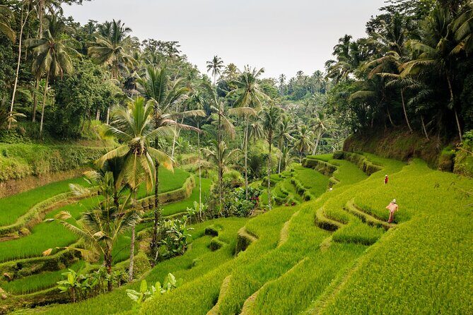 Private Bali Tour: Kintamani Volcano and Besakih Temple - Mount Batur / Kintamani viewpoint: volcano-lake scenery (and a lunch-friendly stop)