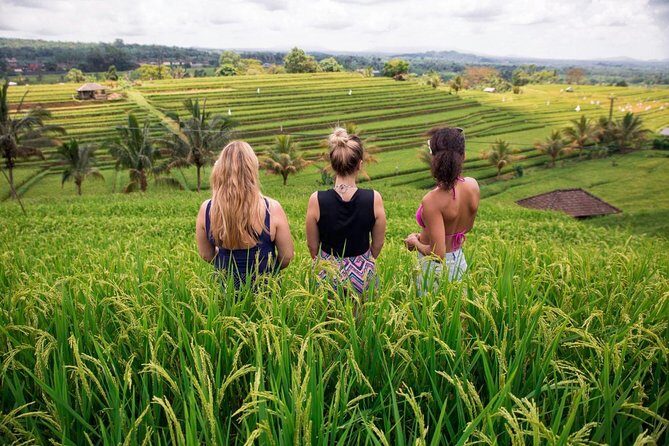 Private Bali Tour: The Most Scenic Places - Who this tour suits best (and who might want something else)