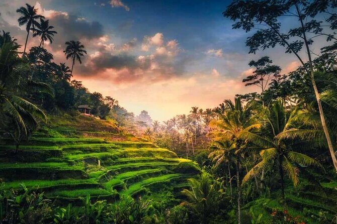 Private Bali Tour with Lisensed Bali Driver - The Gold and Silver Smith Stop, Plus Batik Shops