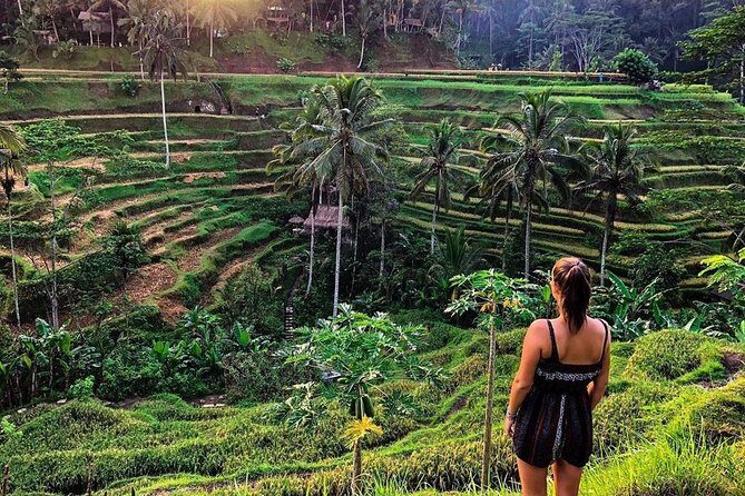 Private Bali Tour: Wonderful Ubud with Swing - Booking and timing: what to do before 9:00am
